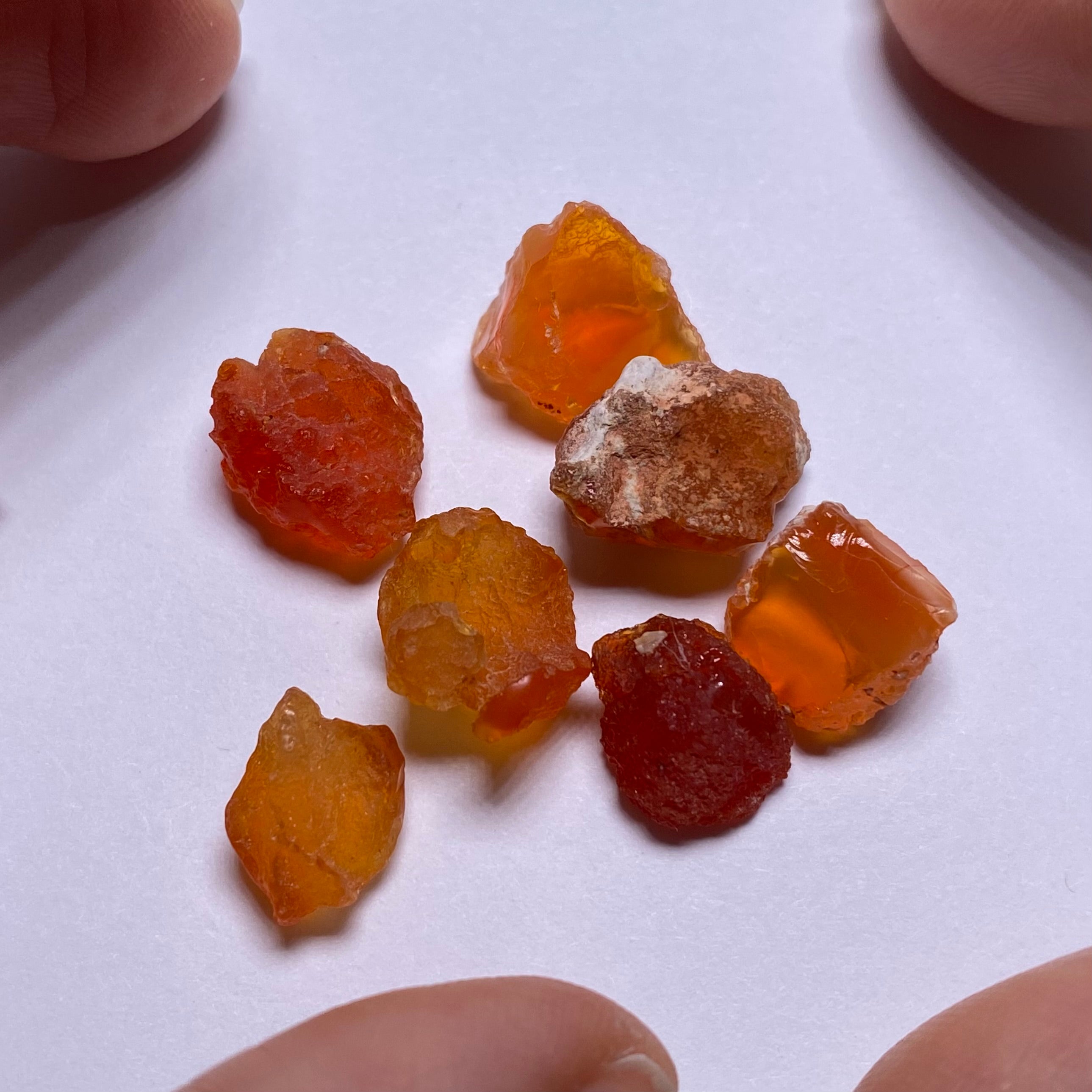 Mexican Fire Opals - Magdalena,  Jalisco