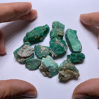 Variscite - Broken Arrow Mine, Nevada