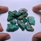 Variscite - Broken Arrow Mine, Nevada