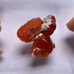 Mexican Fire Opal
