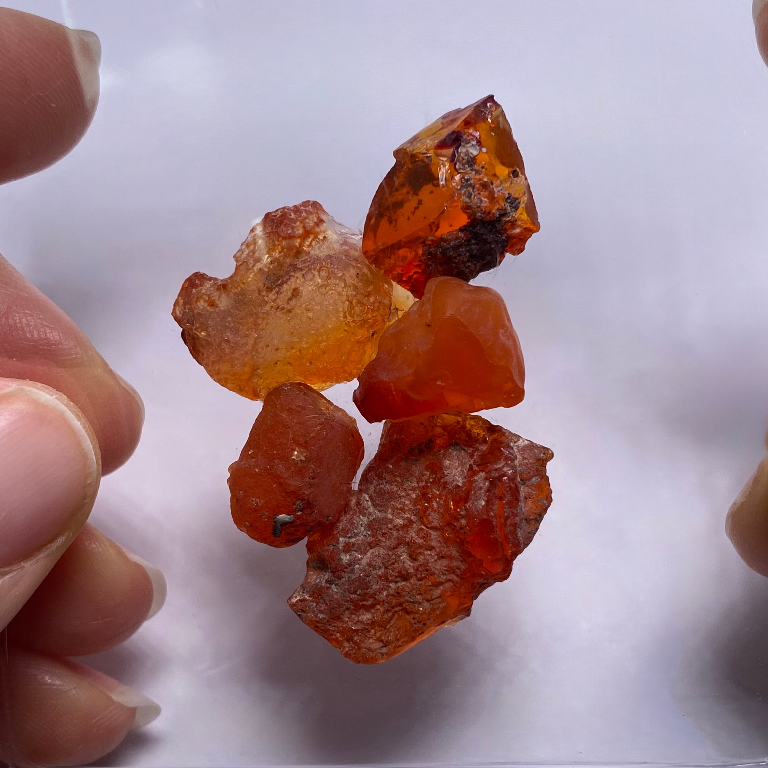 Mexican Fire Opal