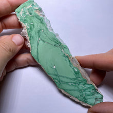 Load image into Gallery viewer, Lucin Variscite - Utah
