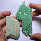 Lucin Variscite - Utah