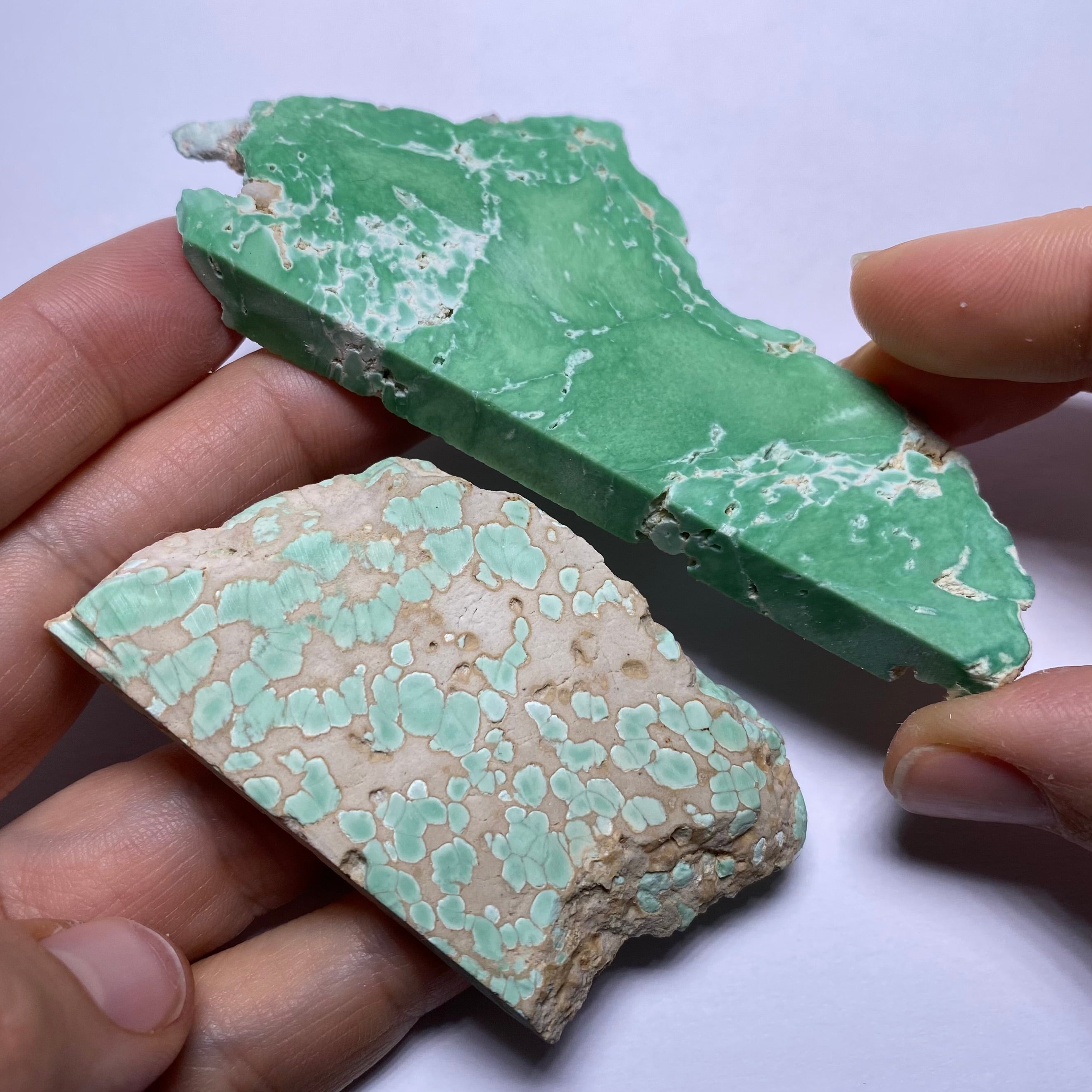 Lucin Variscite - Utah
