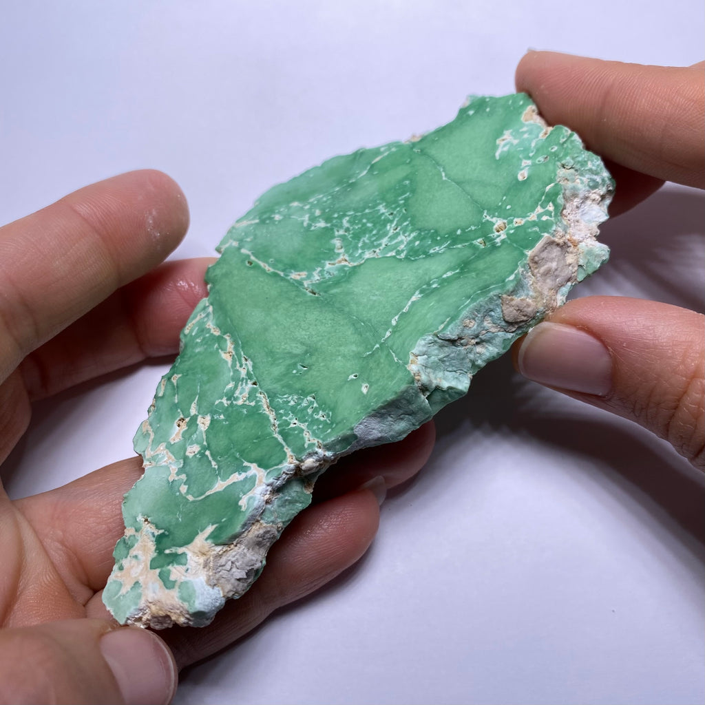 Lucin Variscite - Utah