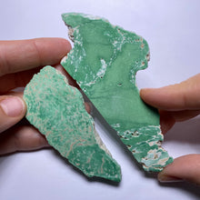 Load image into Gallery viewer, Lucin Variscite - Utah
