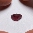 Rhodolite - Tanzania