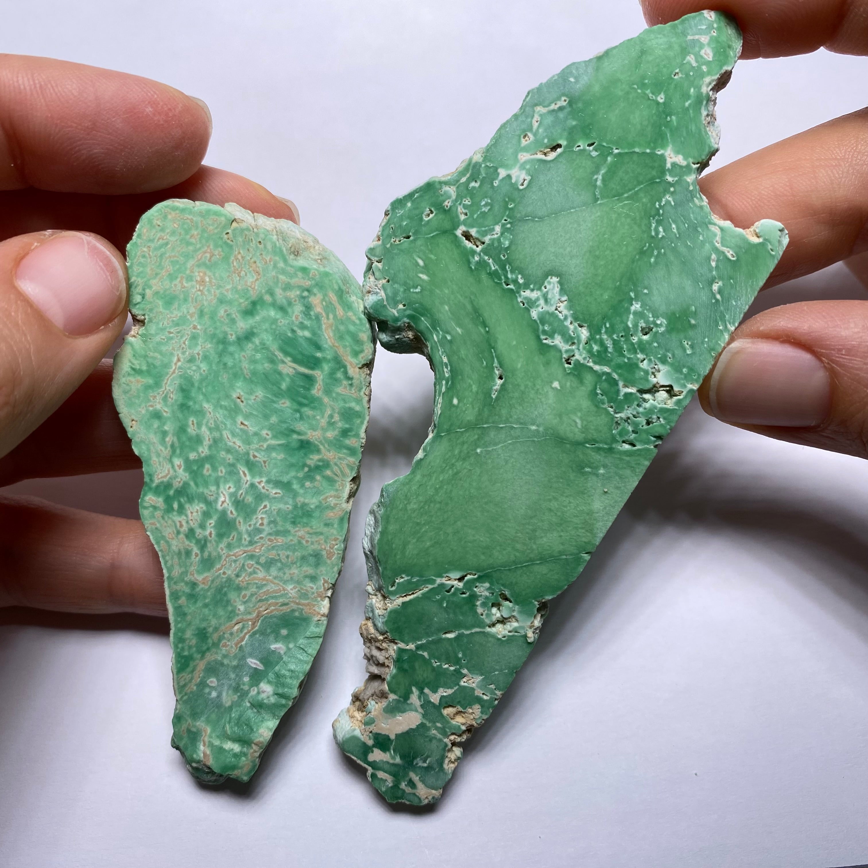 Lucin Variscite - Utah
