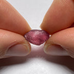 Rhodolite - Tanzania