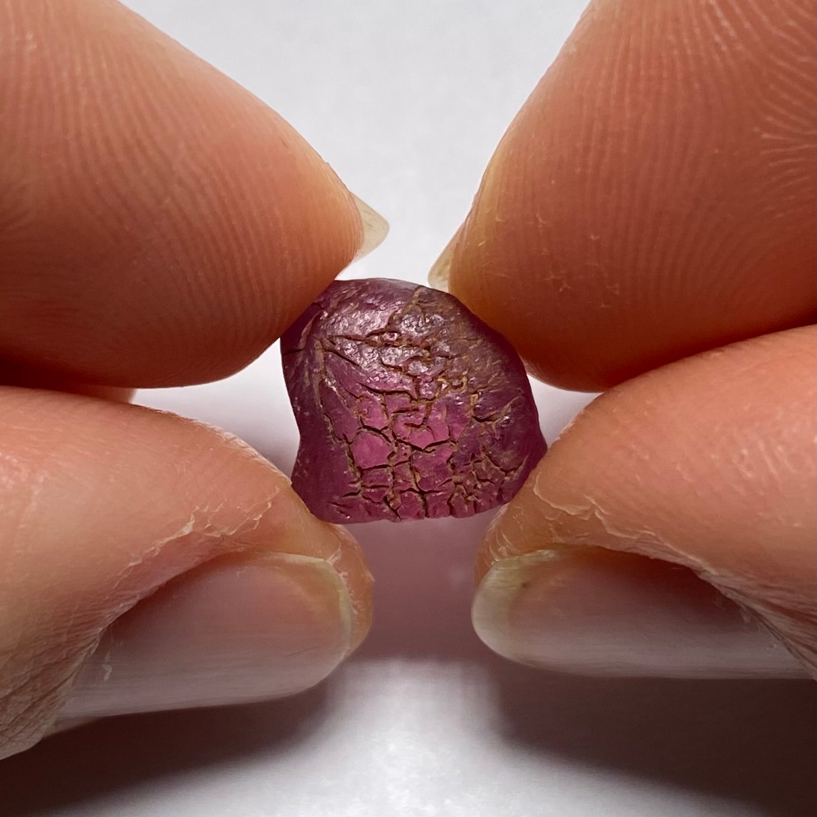 Rhodolite - Tanzania