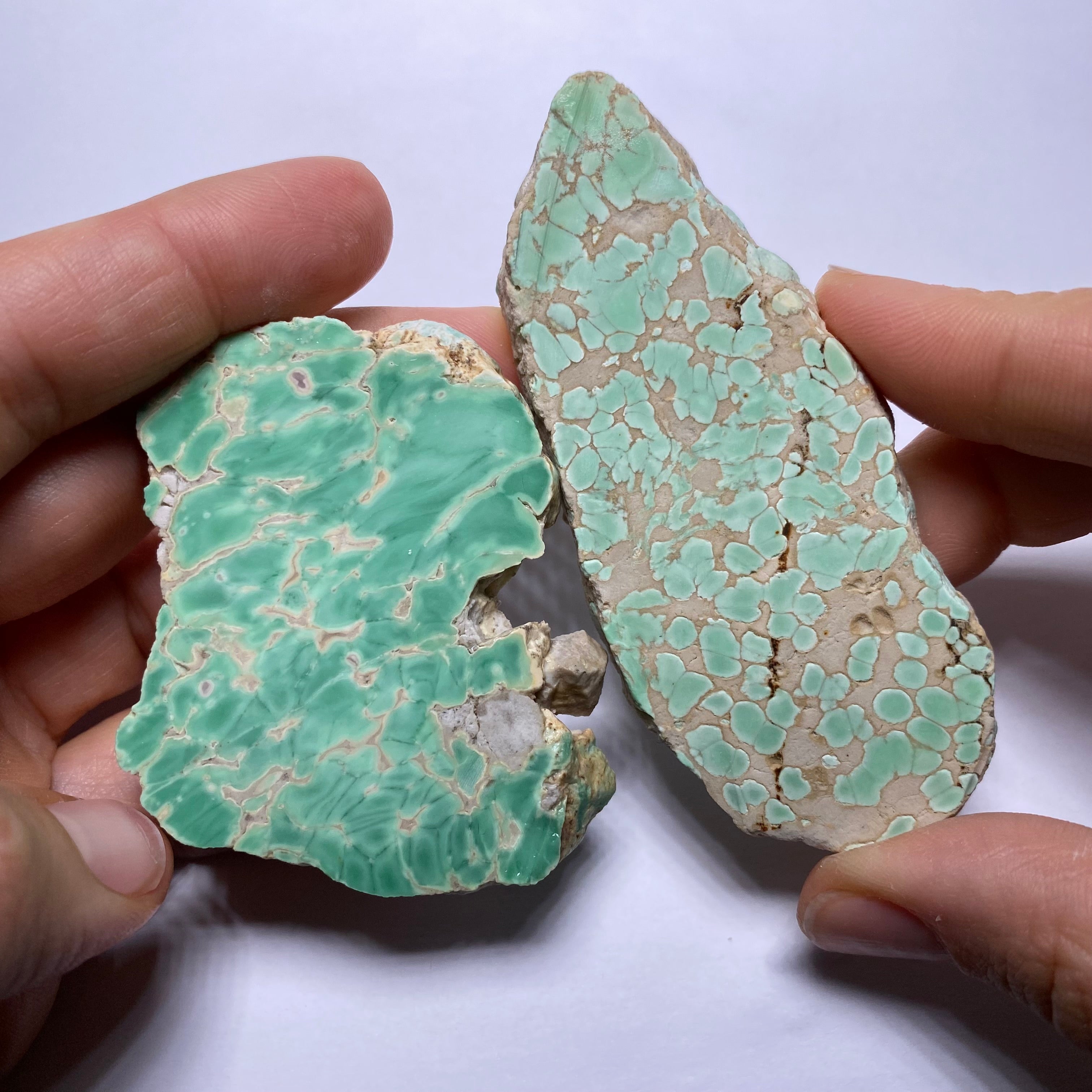 Lucin Variscite - Utah