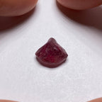 Rhodolite - Tanzania