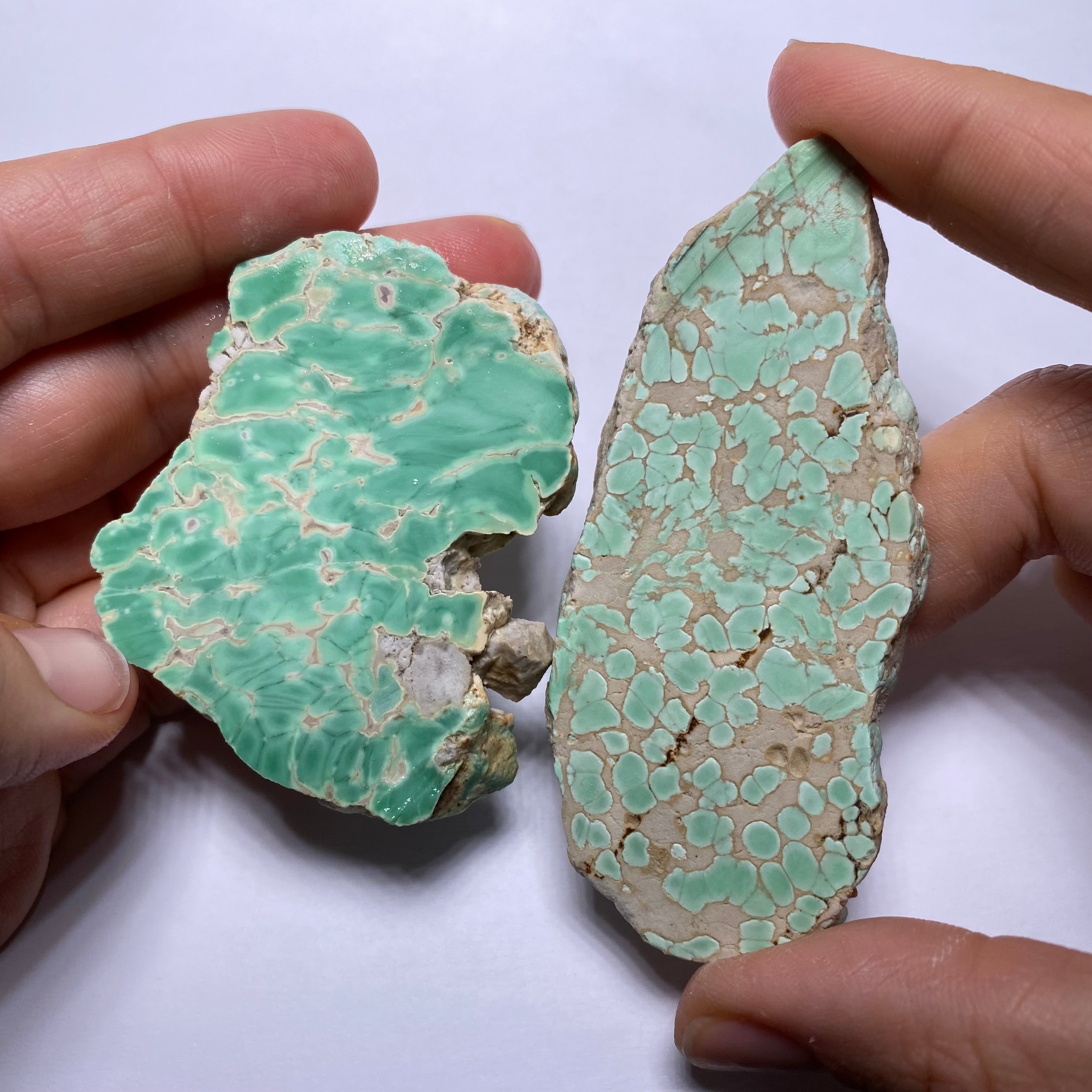 Lucin Variscite - Utah