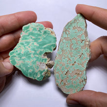 Load image into Gallery viewer, Lucin Variscite - Utah
