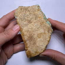 Load image into Gallery viewer, Webbed Variscite - Australia
