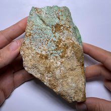 Load image into Gallery viewer, Webbed Variscite - Australia
