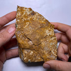 Webbed Variscite - Australia