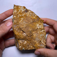 Load image into Gallery viewer, Webbed Variscite - Australia
