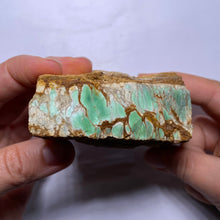 Load image into Gallery viewer, Webbed Variscite - Australia
