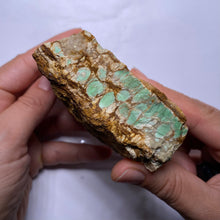 Load image into Gallery viewer, Webbed Variscite - Australia
