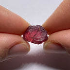 Rhodolite - Tanzania