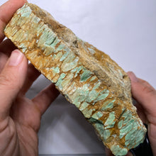Load image into Gallery viewer, Webbed Variscite - Australia
