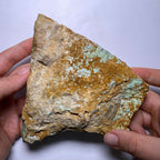 Webbed Variscite - Australia