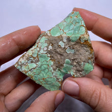 Load image into Gallery viewer, Webbed Variscite - Australia

