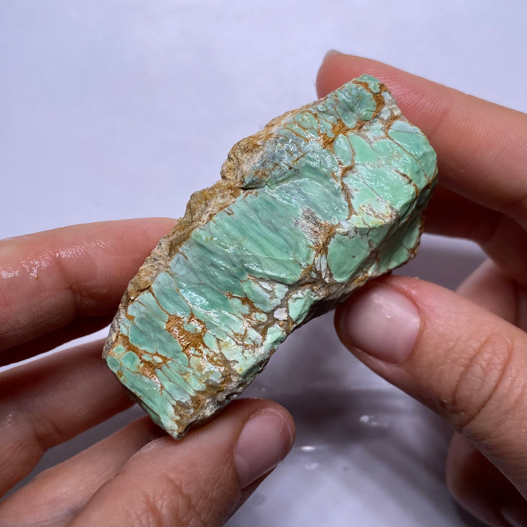 Webbed Variscite - Australia