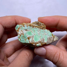 Load image into Gallery viewer, Webbed Variscite - Australia
