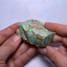Load image into Gallery viewer, Webbed Variscite - Australia
