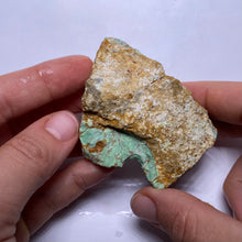 Load image into Gallery viewer, Webbed Variscite - Australia
