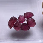 Rhodolite - Tanzania