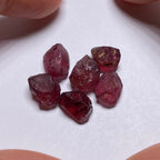Rhodolite - Tanzania