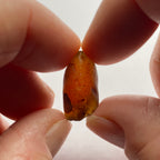 Orange Zircon - Tanzania