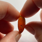 Orange Zircon - Tanzania