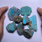 Turquoise - Kingman Mine, Arizona, USA