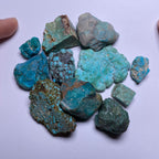 Turquoise - Kingman Mine, Arizona, USA