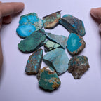 Turquoise - Kingman Mine, Arizona, USA
