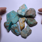 Turquoise - Kingman Mine, Arizona, USA