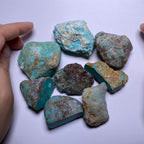 Turquoise - Kingman Mine, Arizona, USA