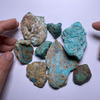 Turquoise - Kingman Mine, Arizona, USA