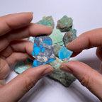 Turquoise - Kingman Mine, Arizona, USA