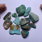 Turquoise - Kingman Mine, Arizona, USA