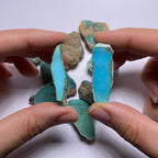 Turquoise - Kingman Mine, Arizona, USA