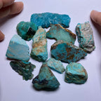 Turquoise - Kingman Mine, Arizona, USA