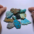 Turquoise - Kingman Mine, Arizona, USA
