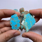 Turquoise - Kingman Mine, Arizona, USA