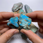 Turquoise - Kingman Mine, Arizona, USA