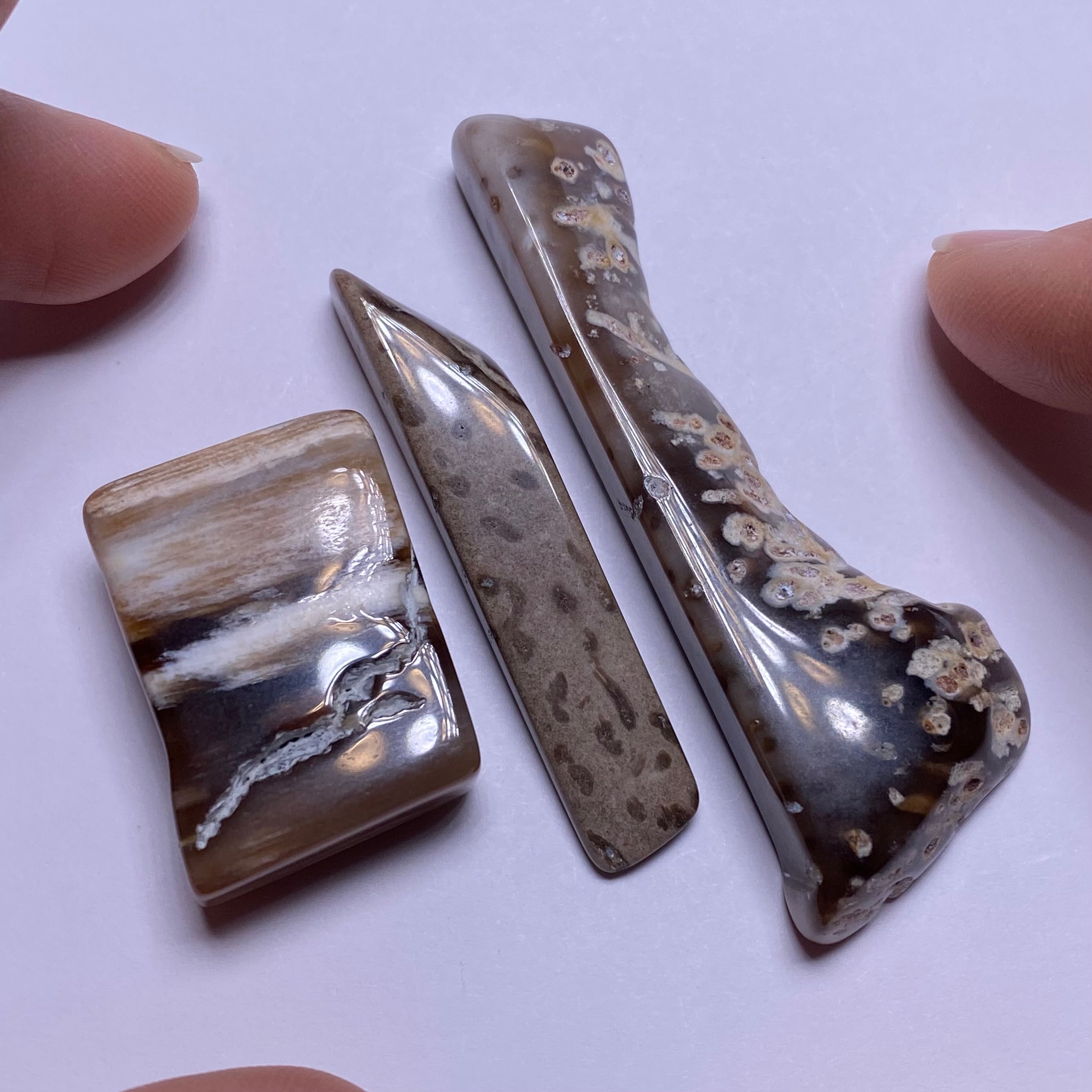 Petrified Wood – Bagan, Burma